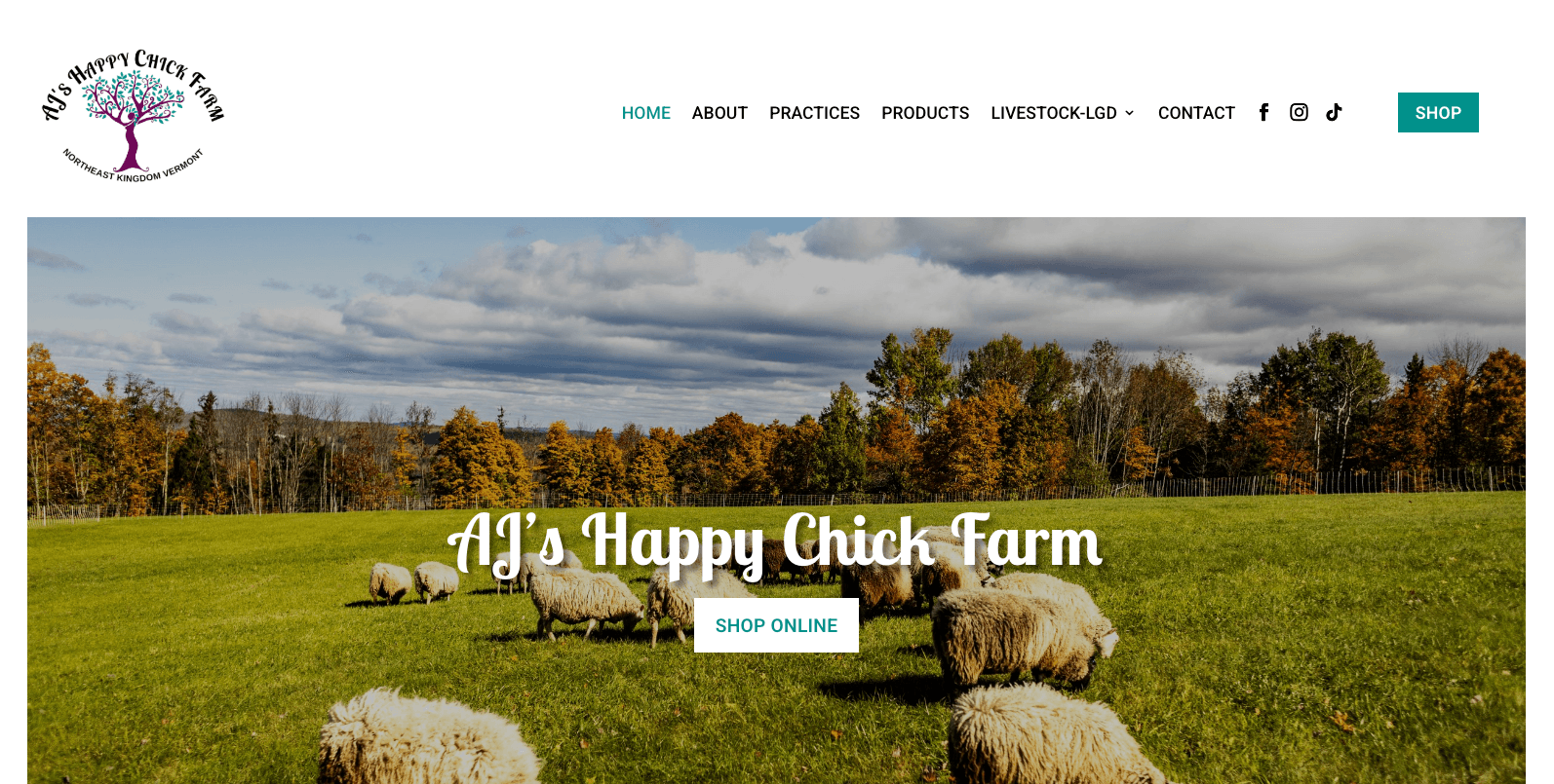 AJ's Happy Chick Farm