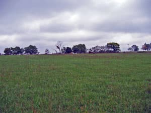 Alger Family Farm, LLC