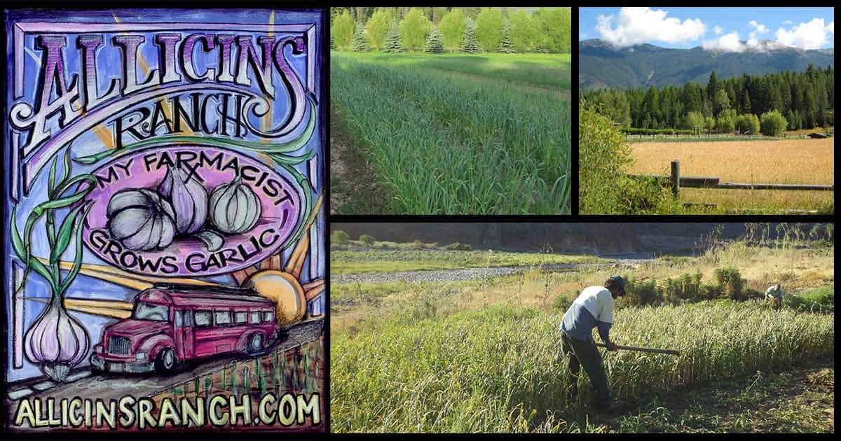 Allicins Ranch photo 2