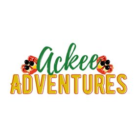 Amazing Ackee Vegan Jamaican Patties