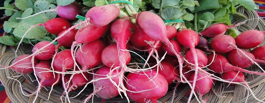Amyo Farms