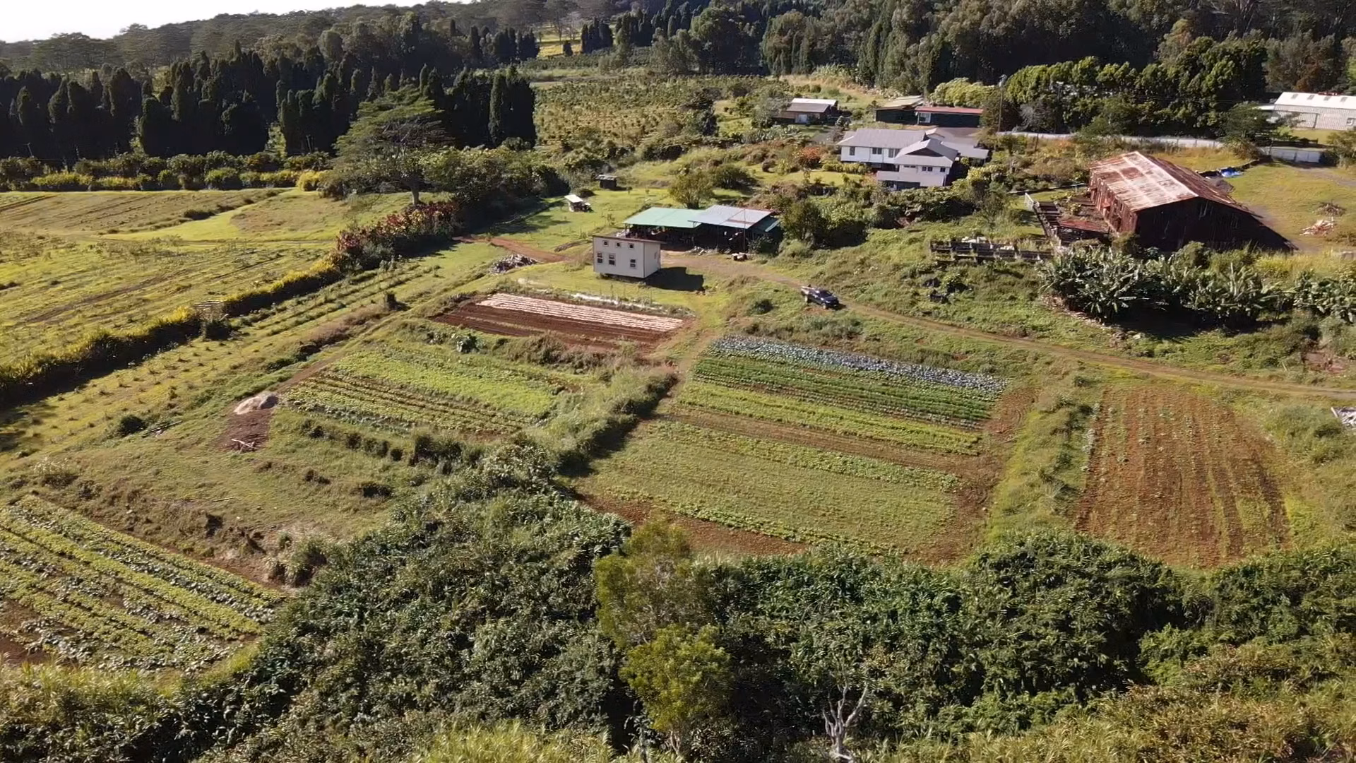 ANCIENT VALLEY GROWERS LLC photo 2