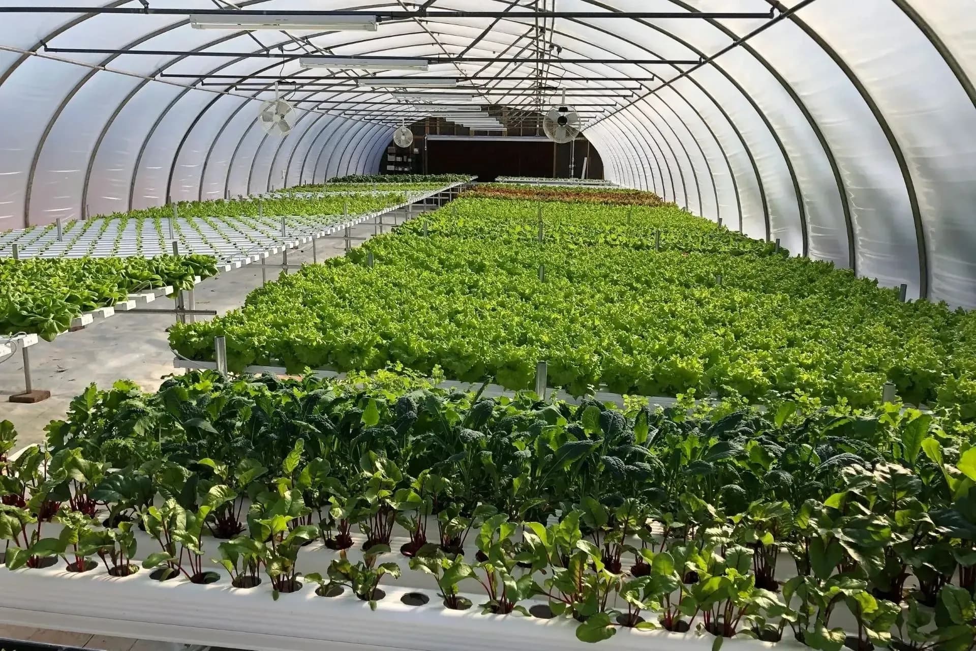 Anders Family Farm