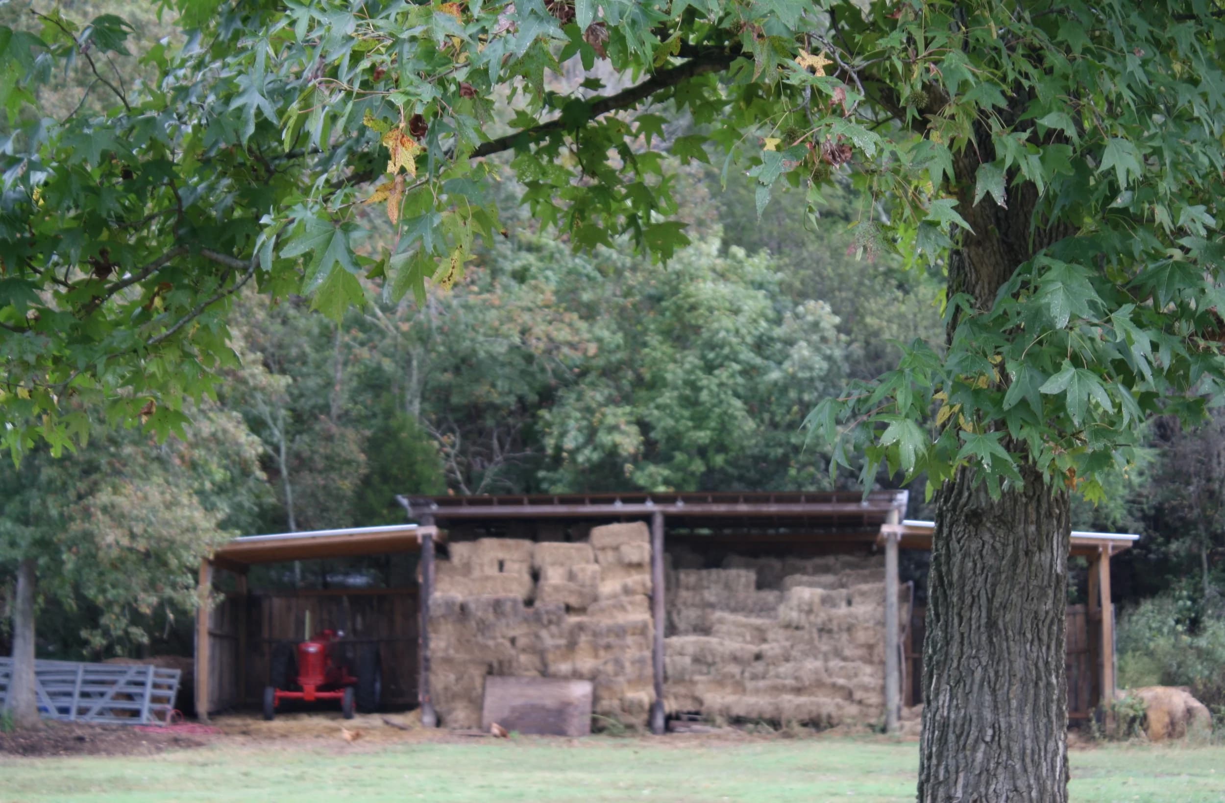 Annie Acres photo 2