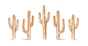 Arizona Soap Company