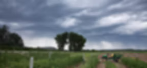 Aspen Moon Farm