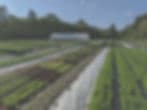 Assawaga Farm photo 2