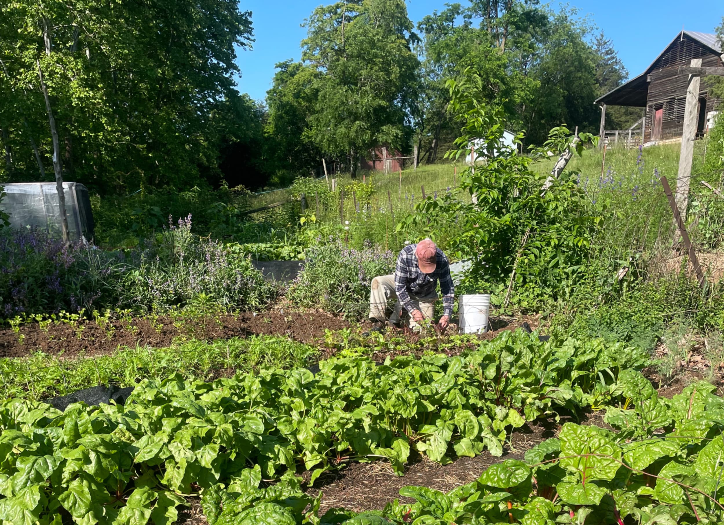 Avalon Acres