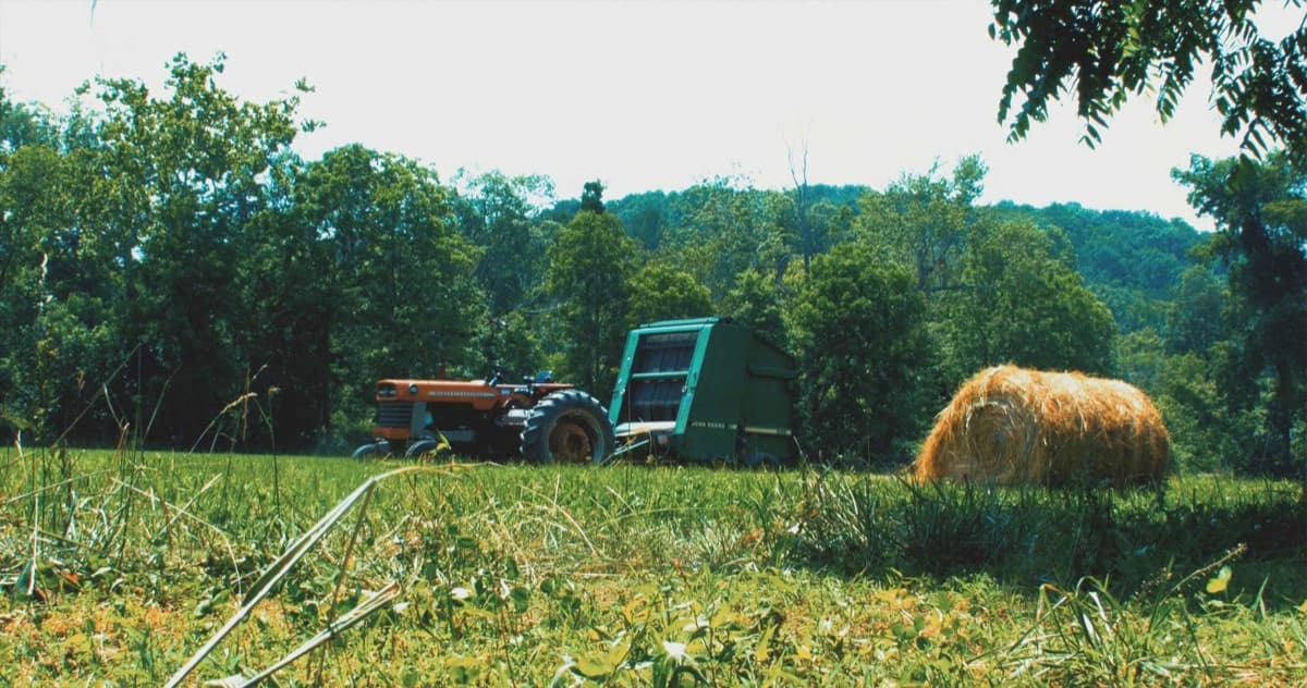 Back Creek Bend Farm