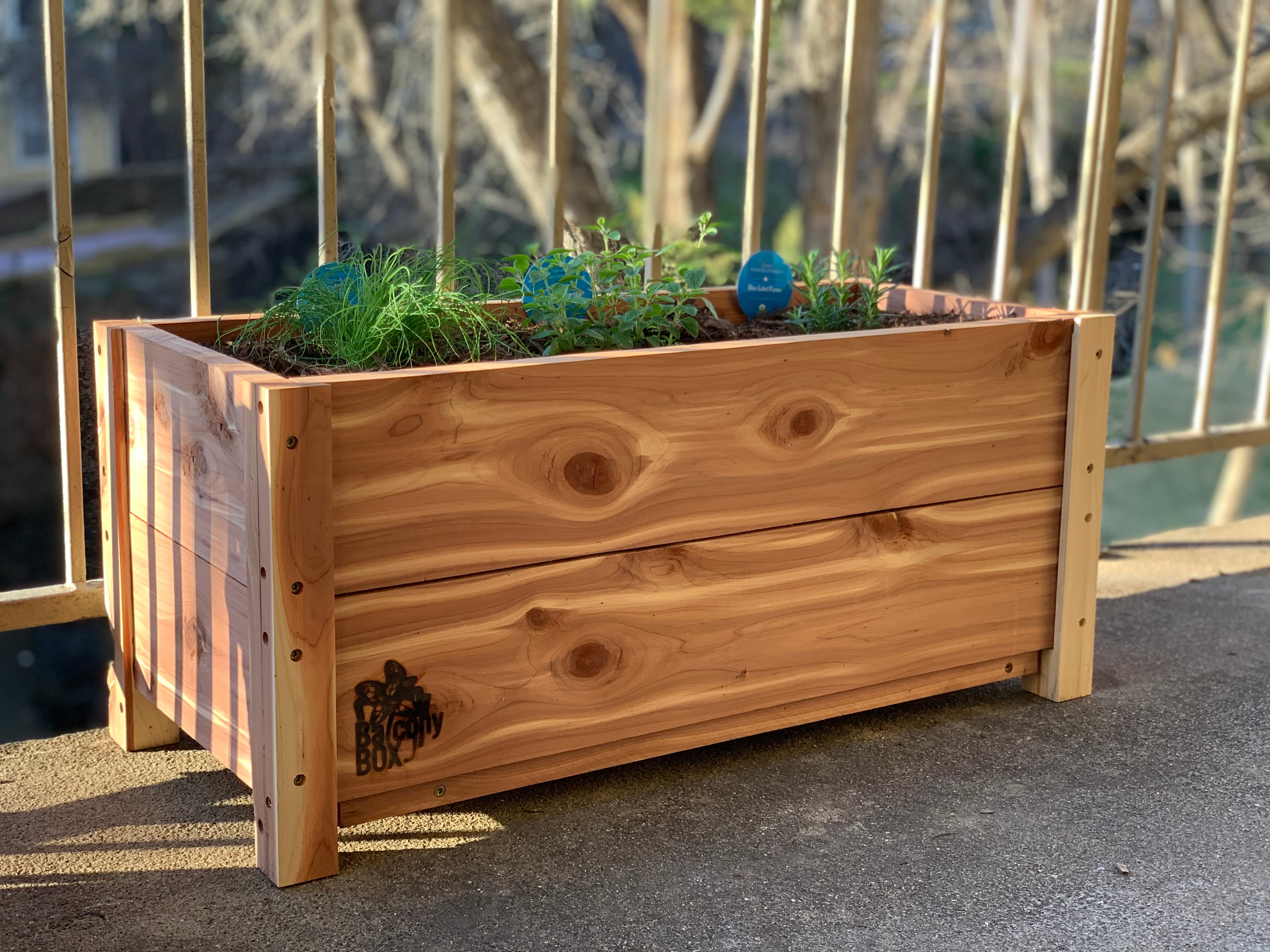 Balcony Box
