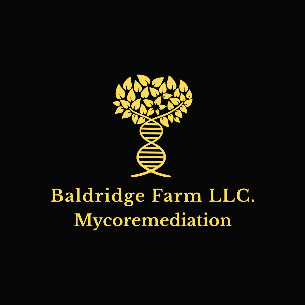 Baldridge Farm photo 2