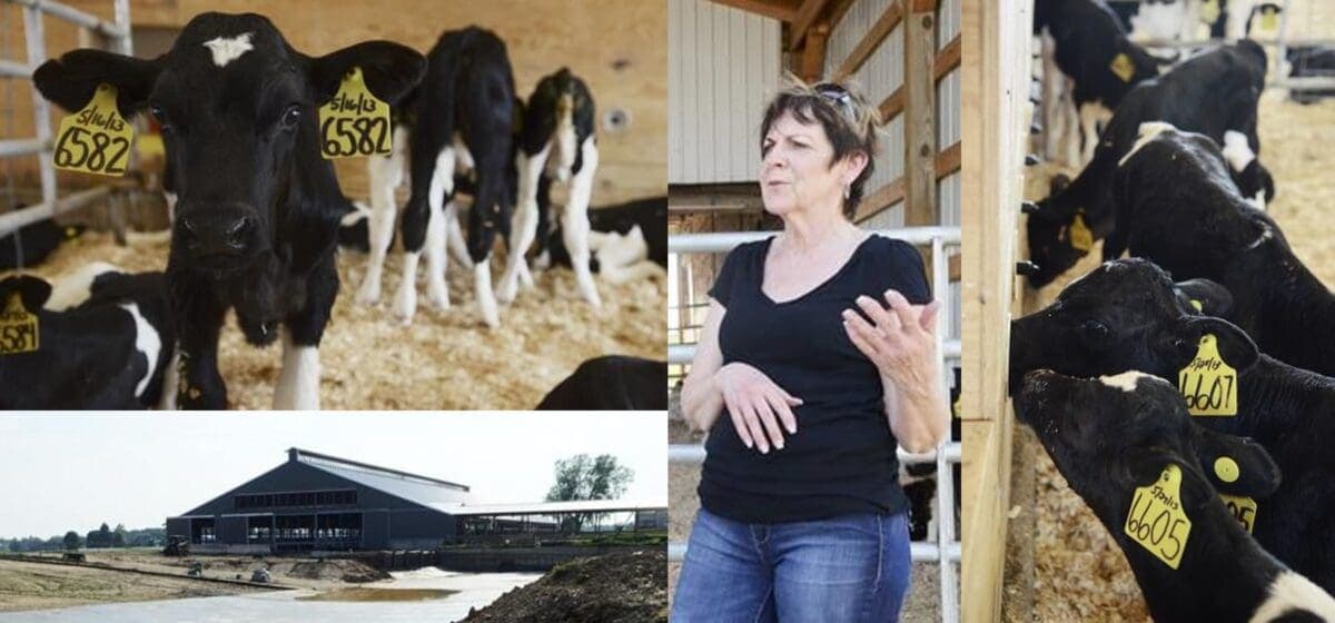 Barber Brothers Dairy