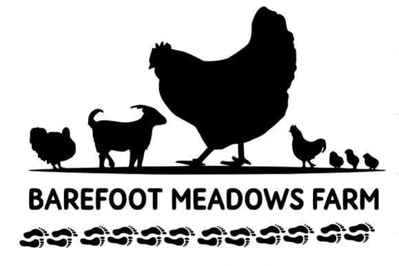 Barefoot Meadows Farm