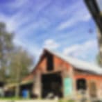 Barking Moon Farm