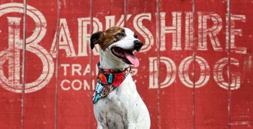 Barkshire Dog Trading Co. photo 2