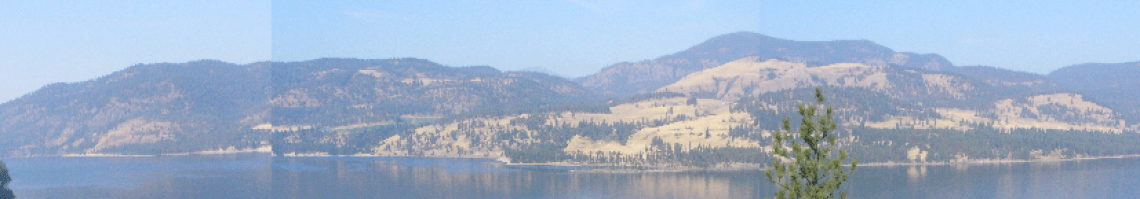 Barrecca Vineyards