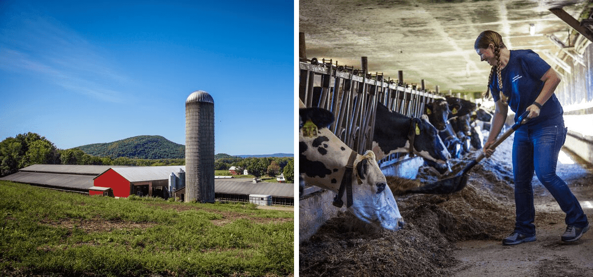 Barstow's Longview Farm