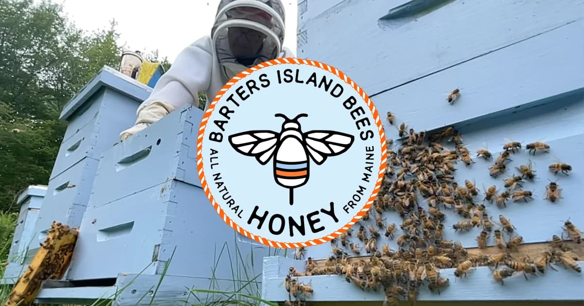 Barter's Island Bees