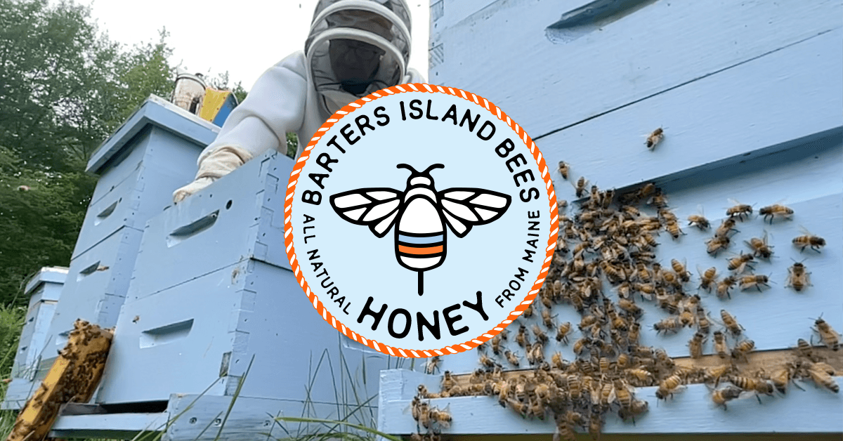Barters Island Bees photo 2
