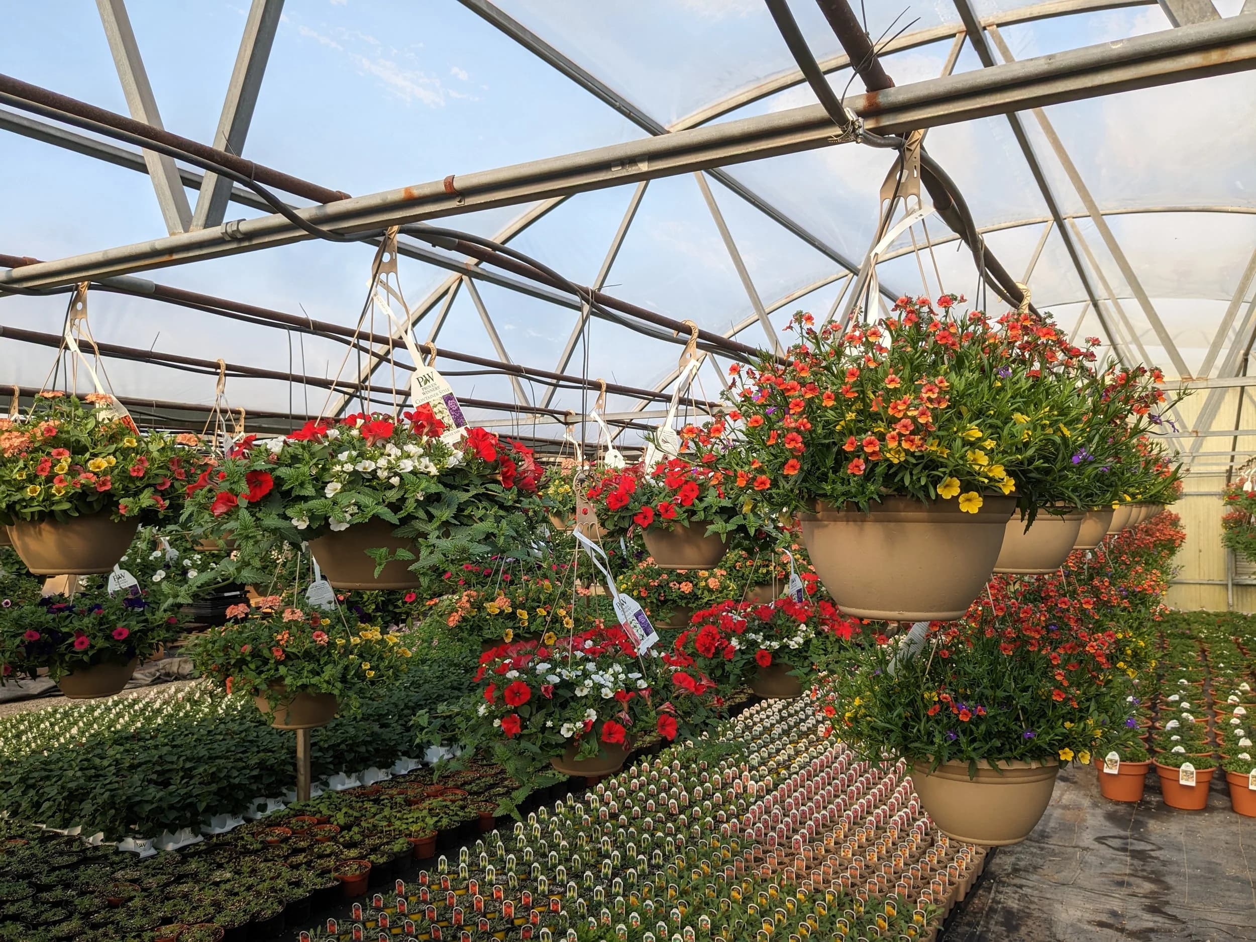 Bartsch Gardens
