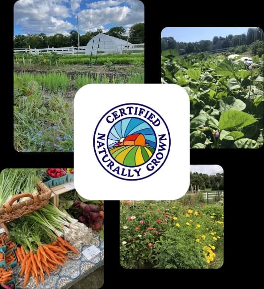 Bass Root Farm LLC photo 2
