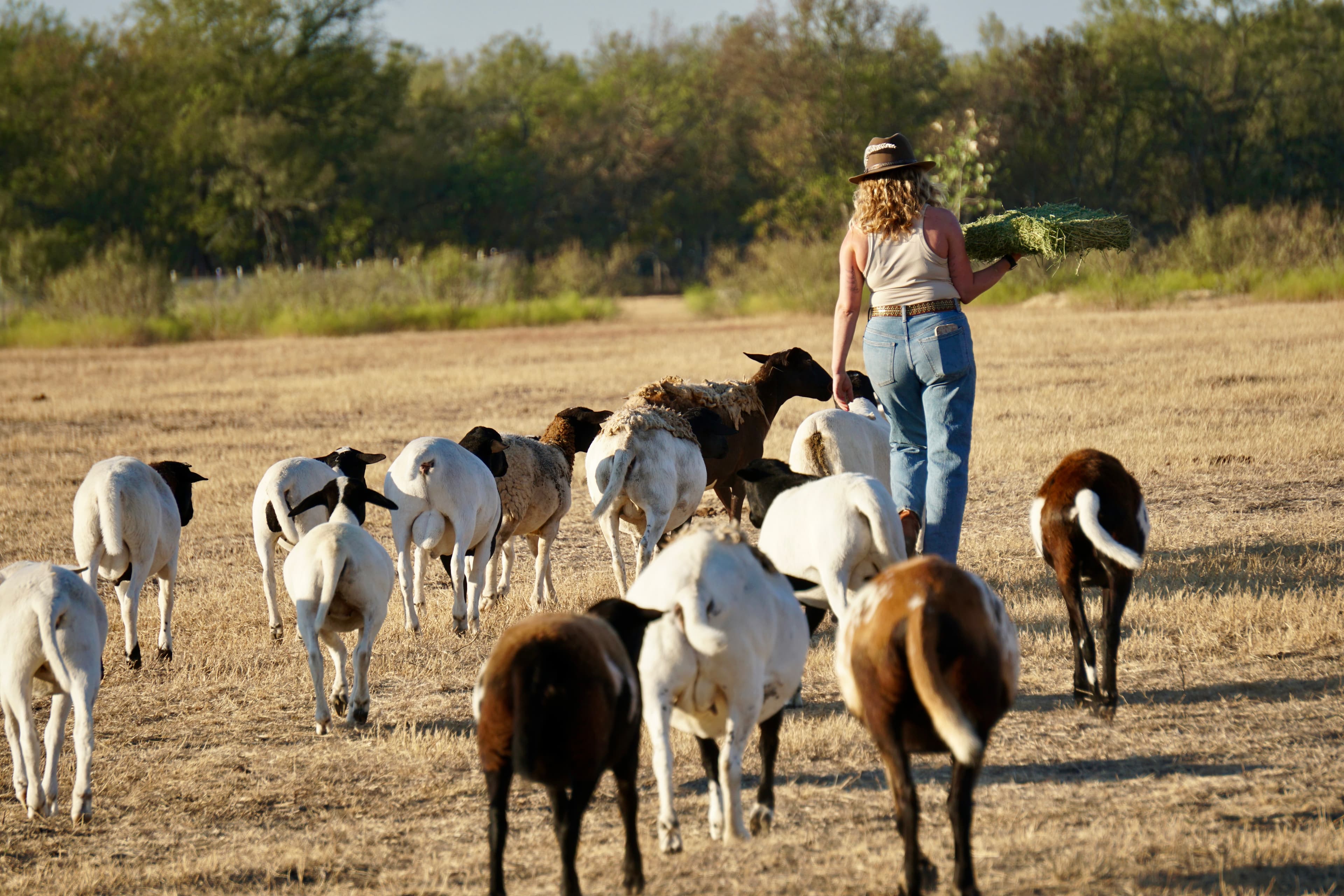 Battle Family Farm photo 2
