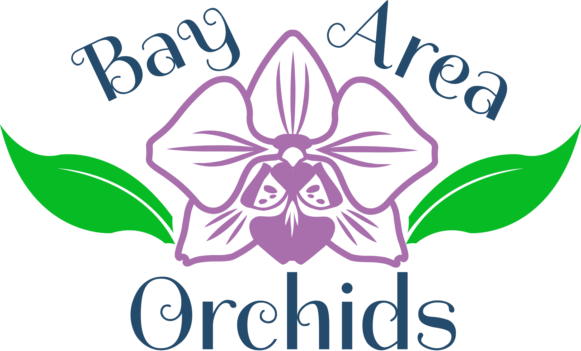 Bay Area Orchids photo 2