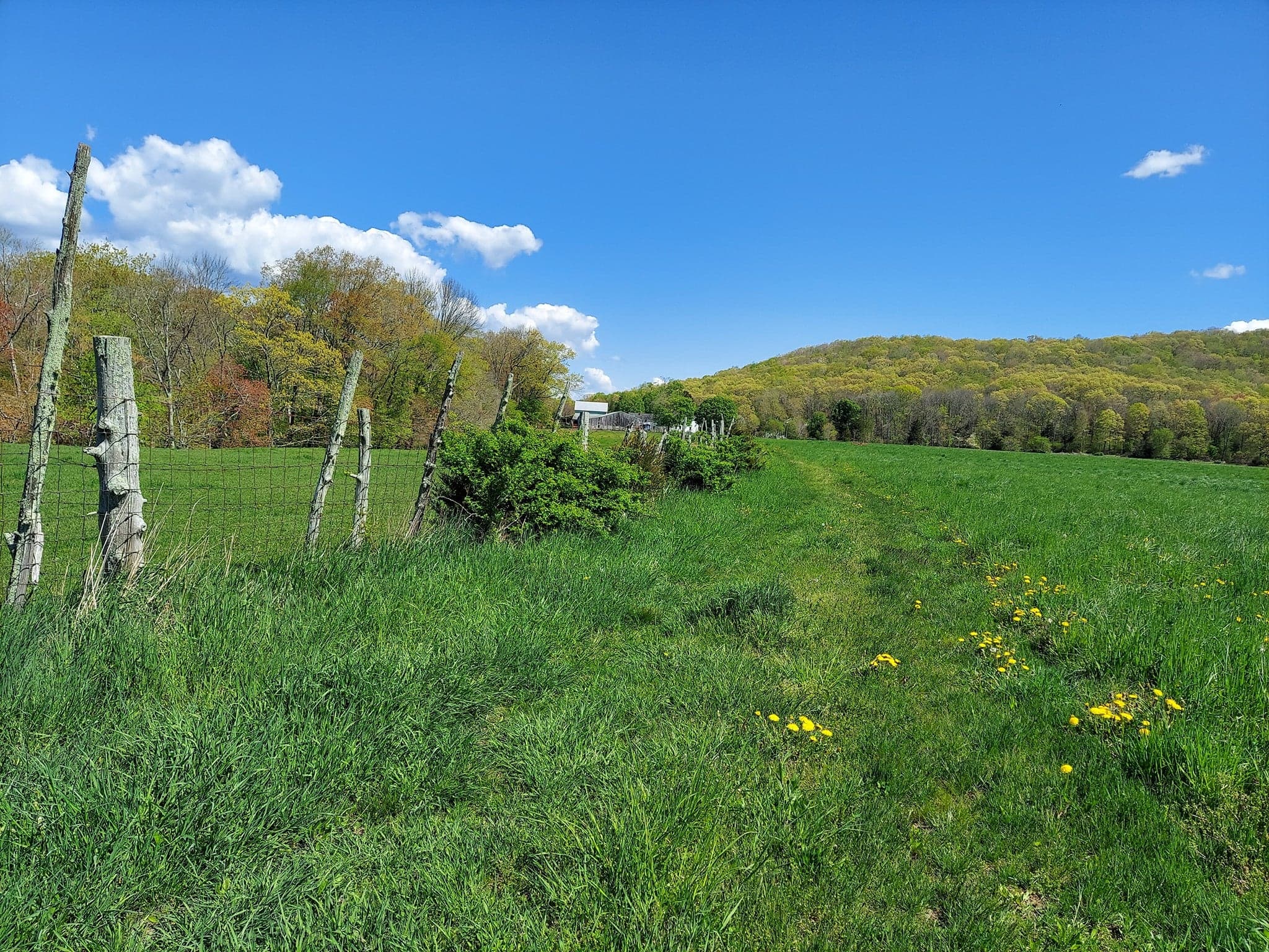 Bay Mountain Ag