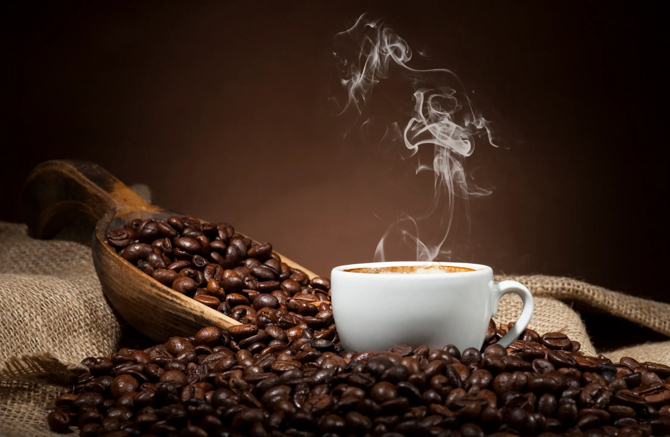 Bea's Blend Specialty Coffees