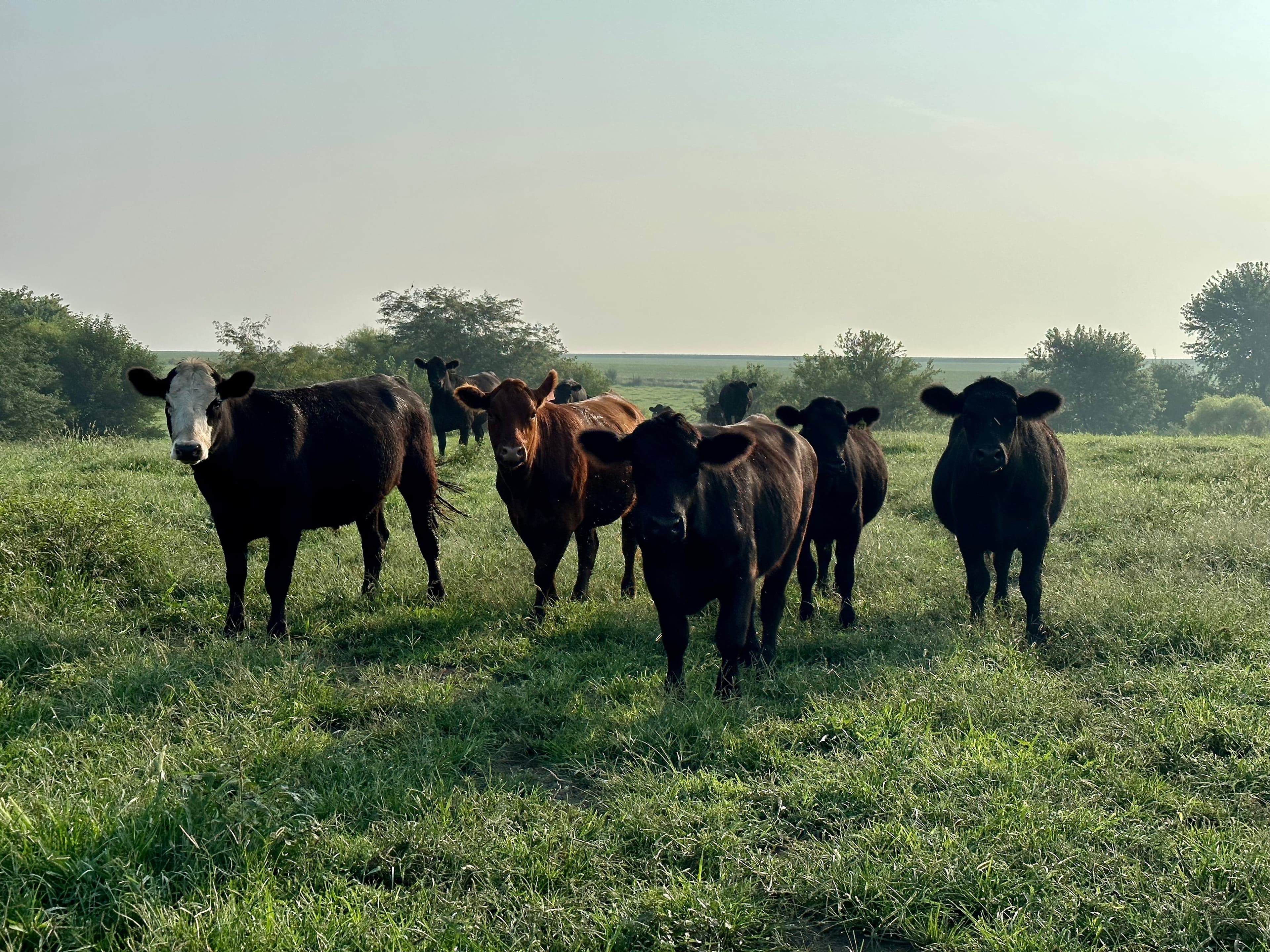 Bear Creek Ranch