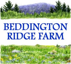 Beddington Ridge Farm photo 2