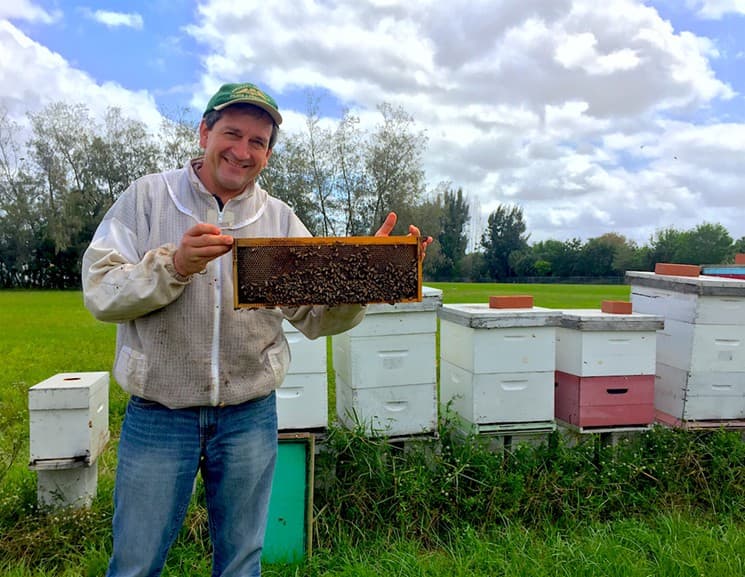 Bee Healthy Honey Farms