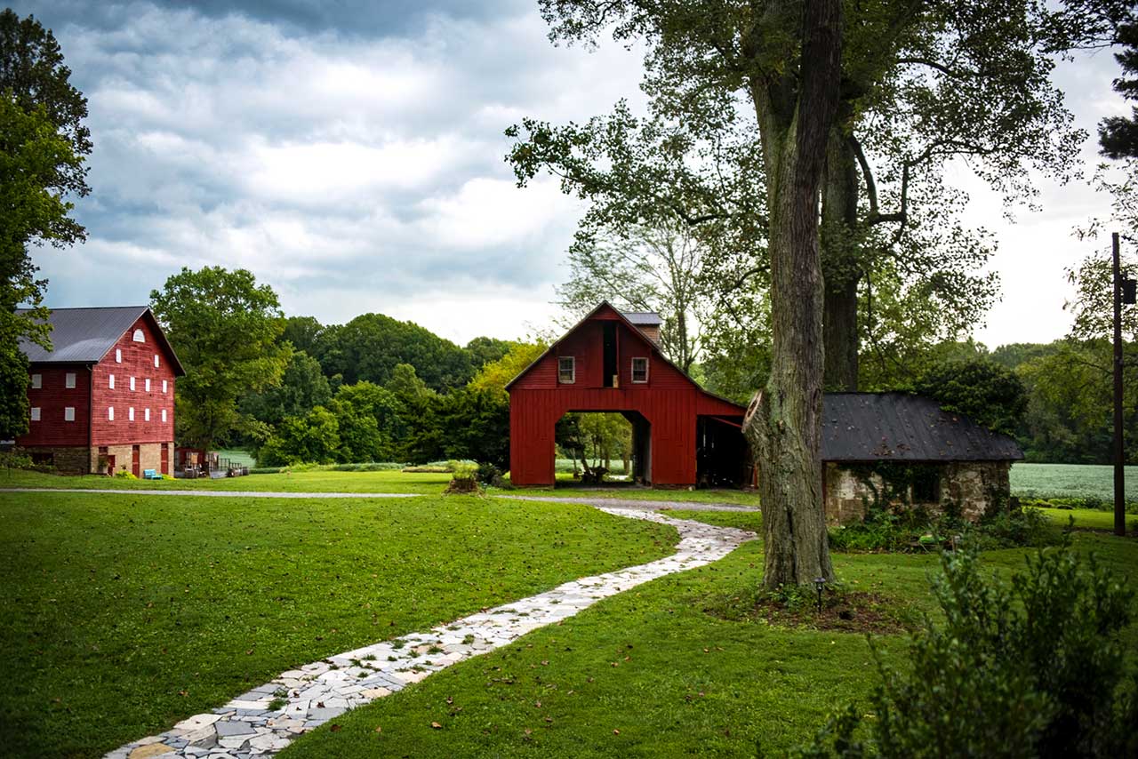 Bella Vita Farm photo 2