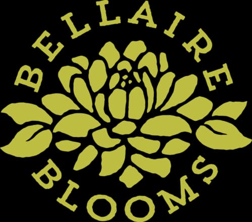 Bellaire Blooms photo 2