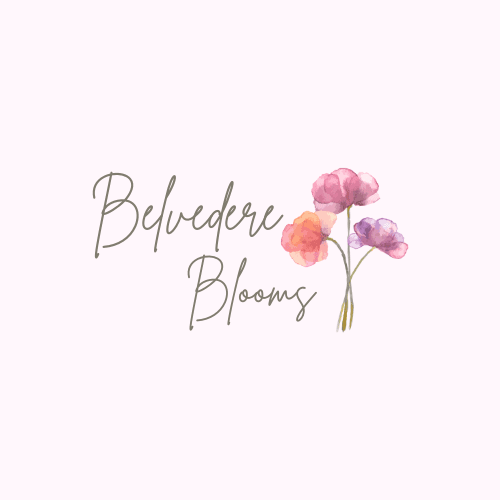 Belvedere Blooms