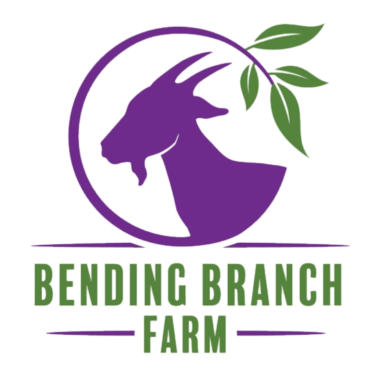 Bending Branch photo 2