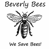 Beverly Bees photo 2
