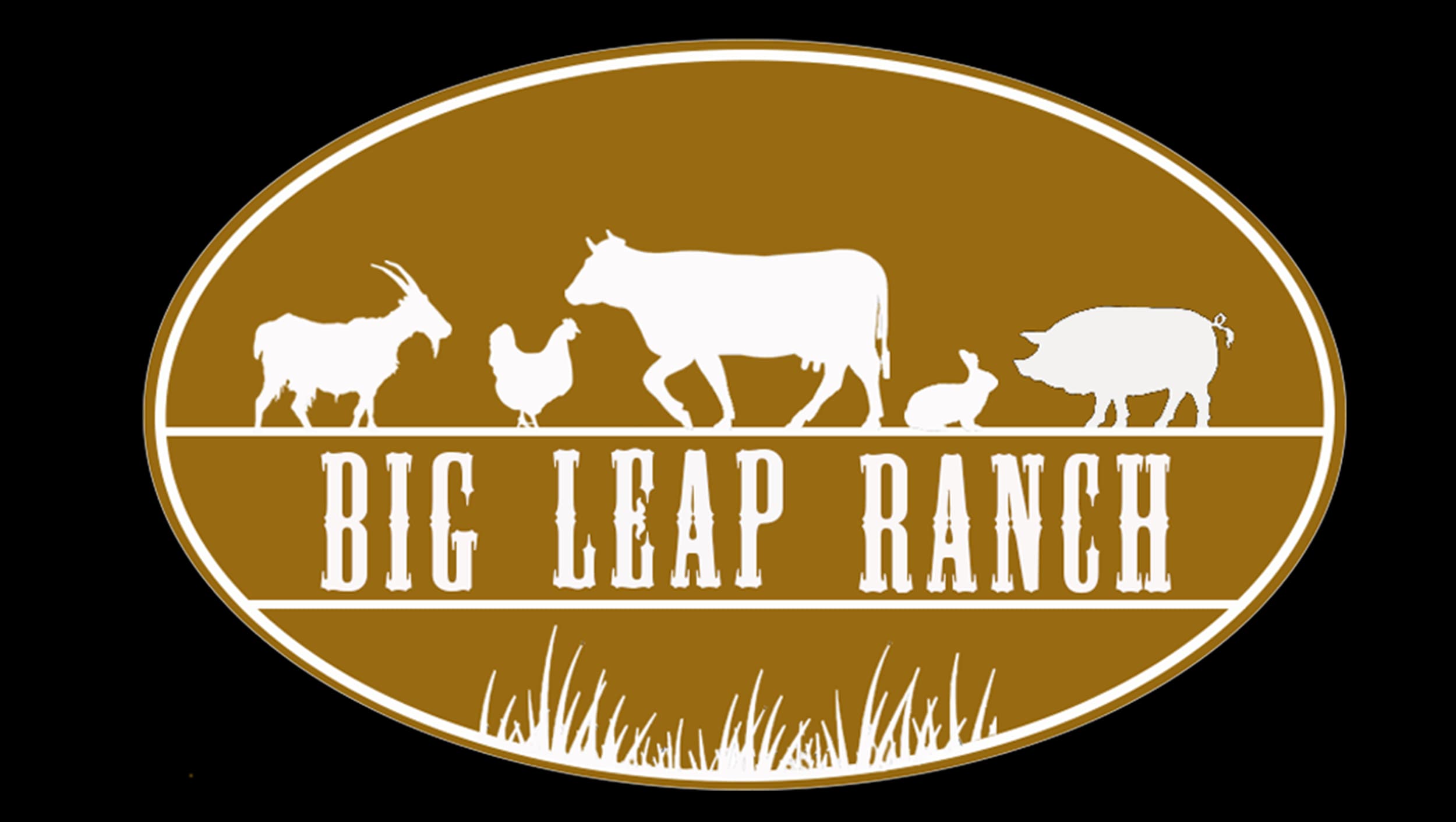 Big Leap Ranch photo 2