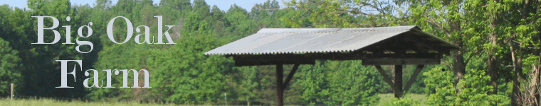 Big Oak Farm