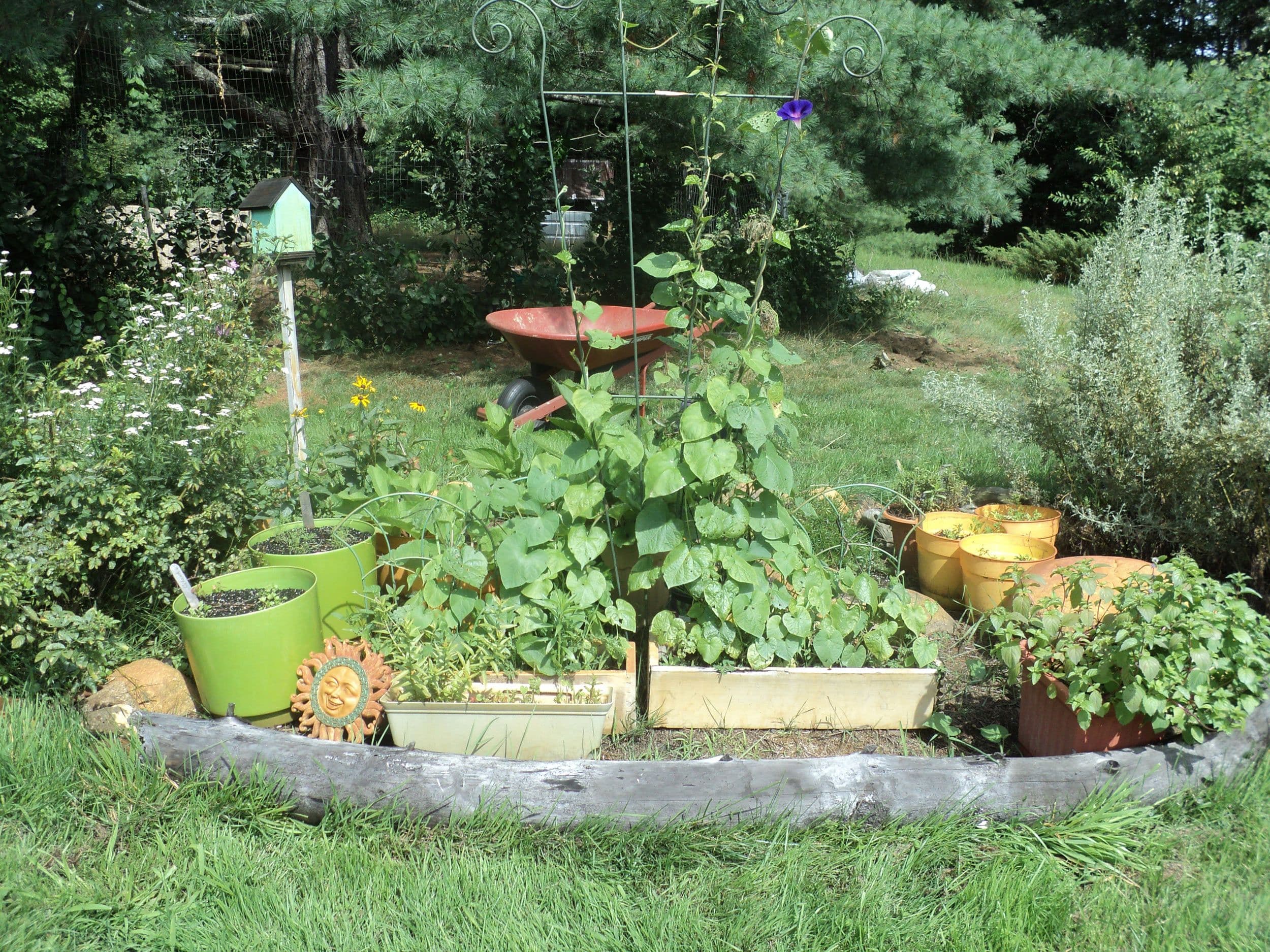 Big Tree Herb Farm photo 2