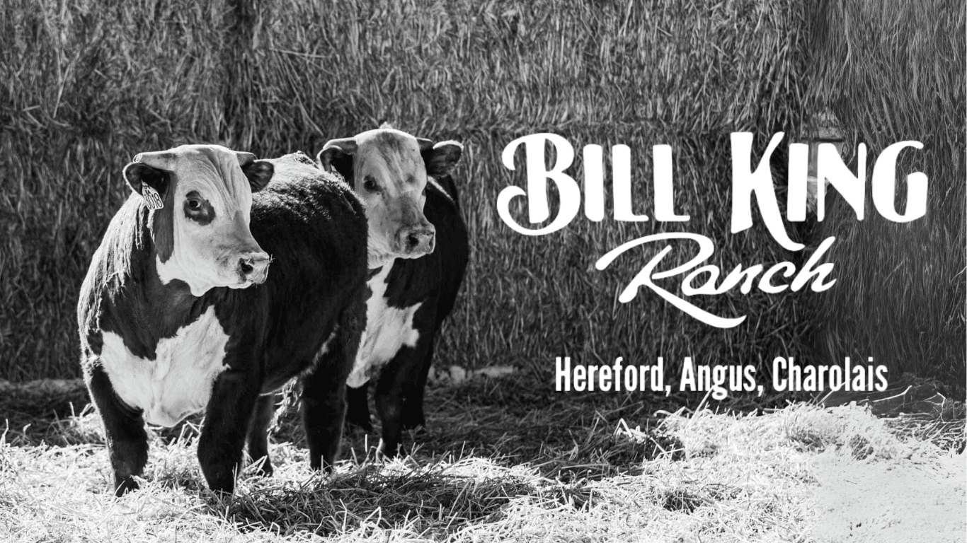 Bill King Ranch