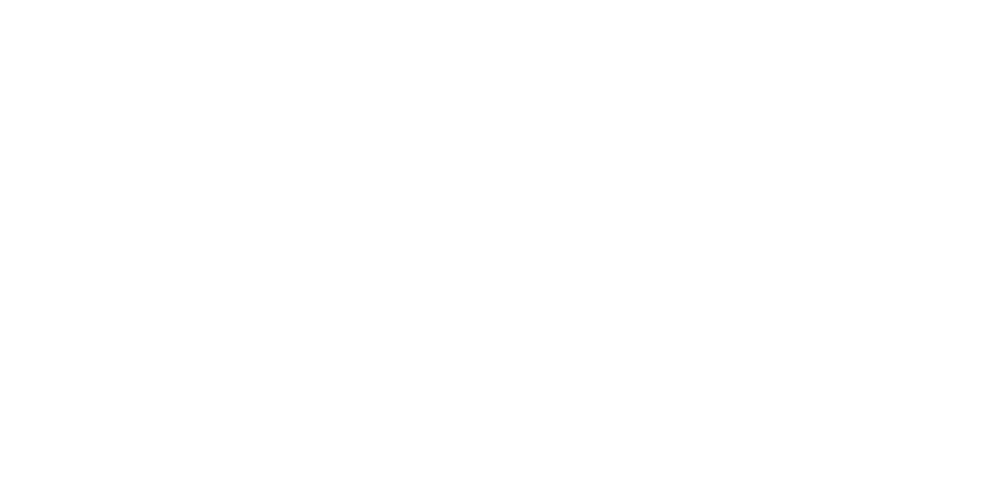 Bird House Vibrational Nourishment