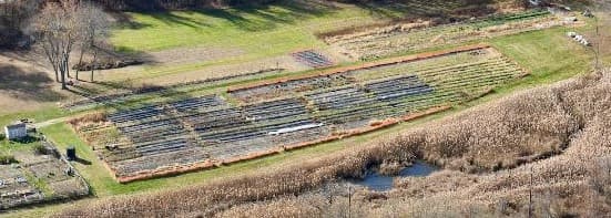 Bitz N Peace Farm
