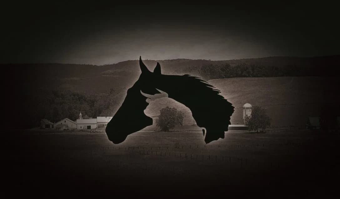 Black Diamond Ranch, LLC