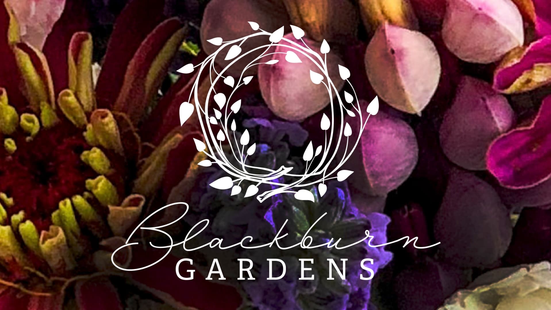 Blackburn Gardens photo 2
