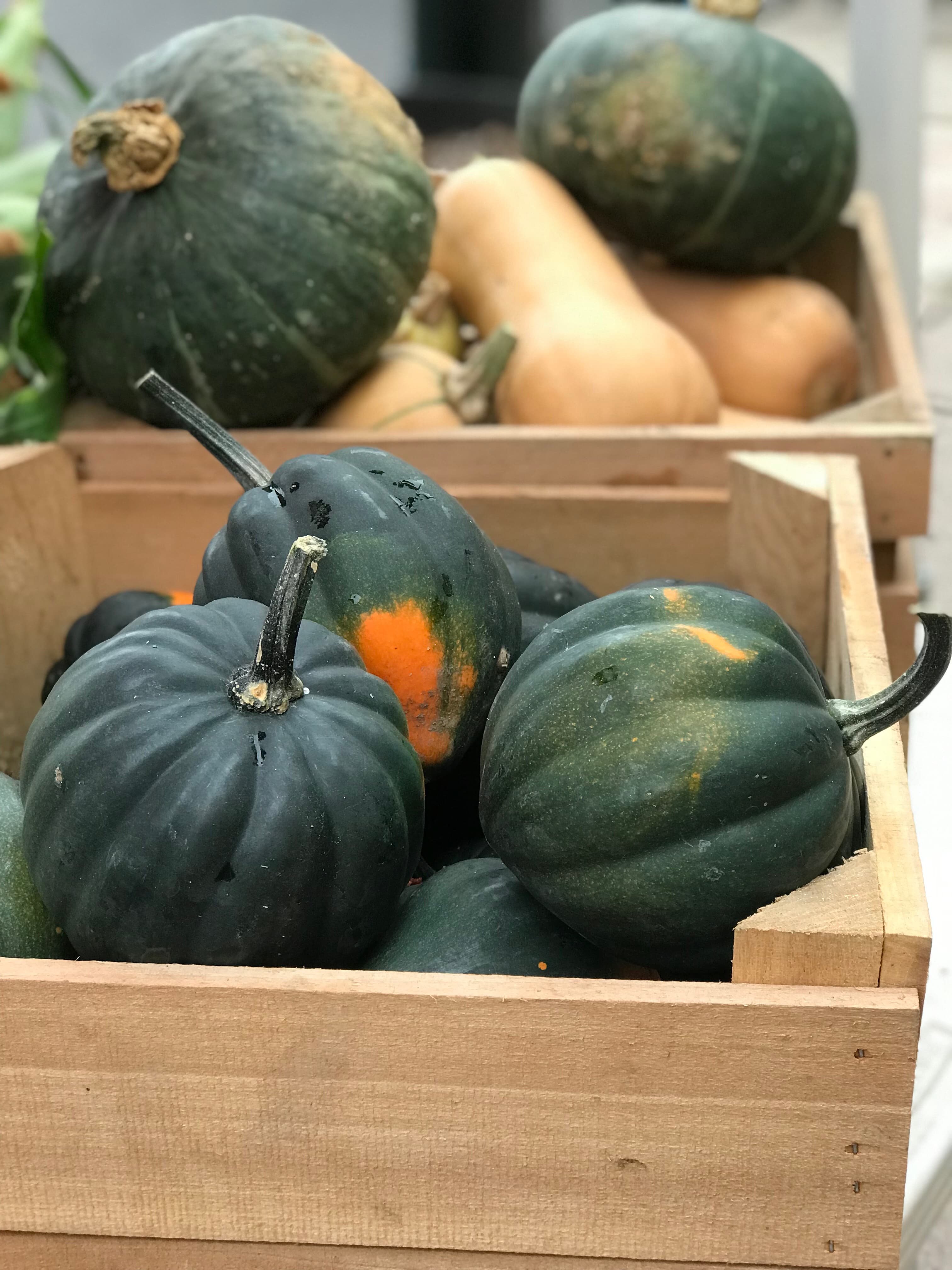 Bleiler's Produce Patch photo 2