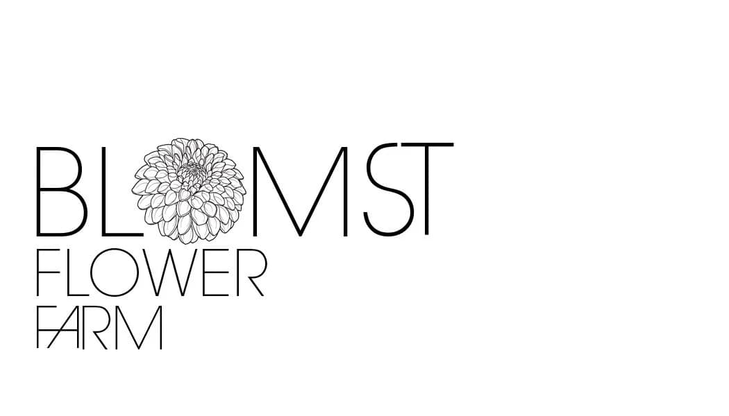 Blomst Flower Farm photo 2
