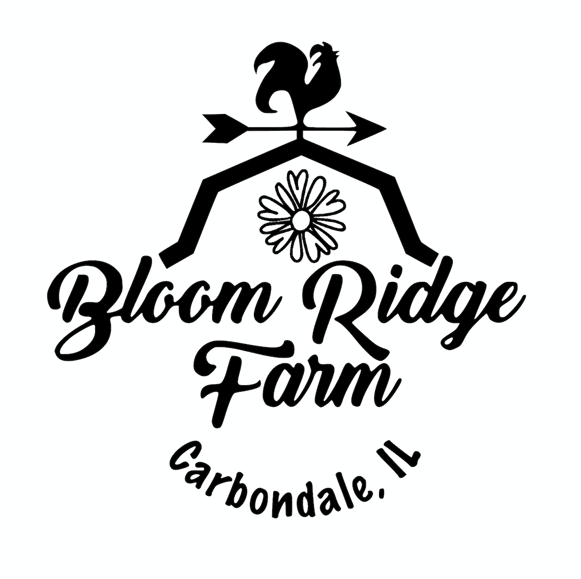 Bloom Ridge Farm (u-pick flower farm) photo 2