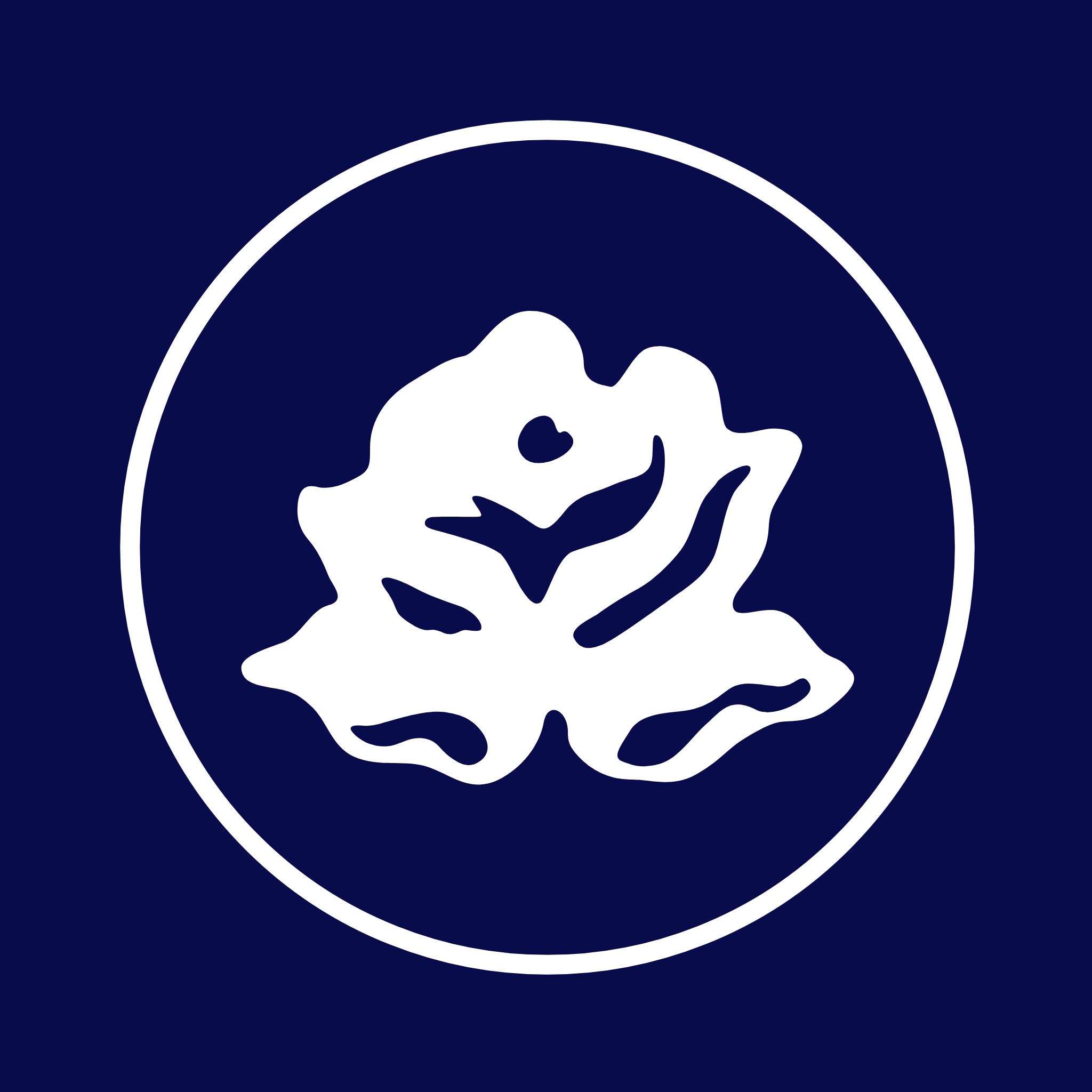 Blue Rose Bakery