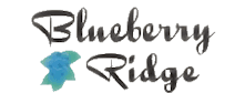 Blueberry Ridge Orchard
